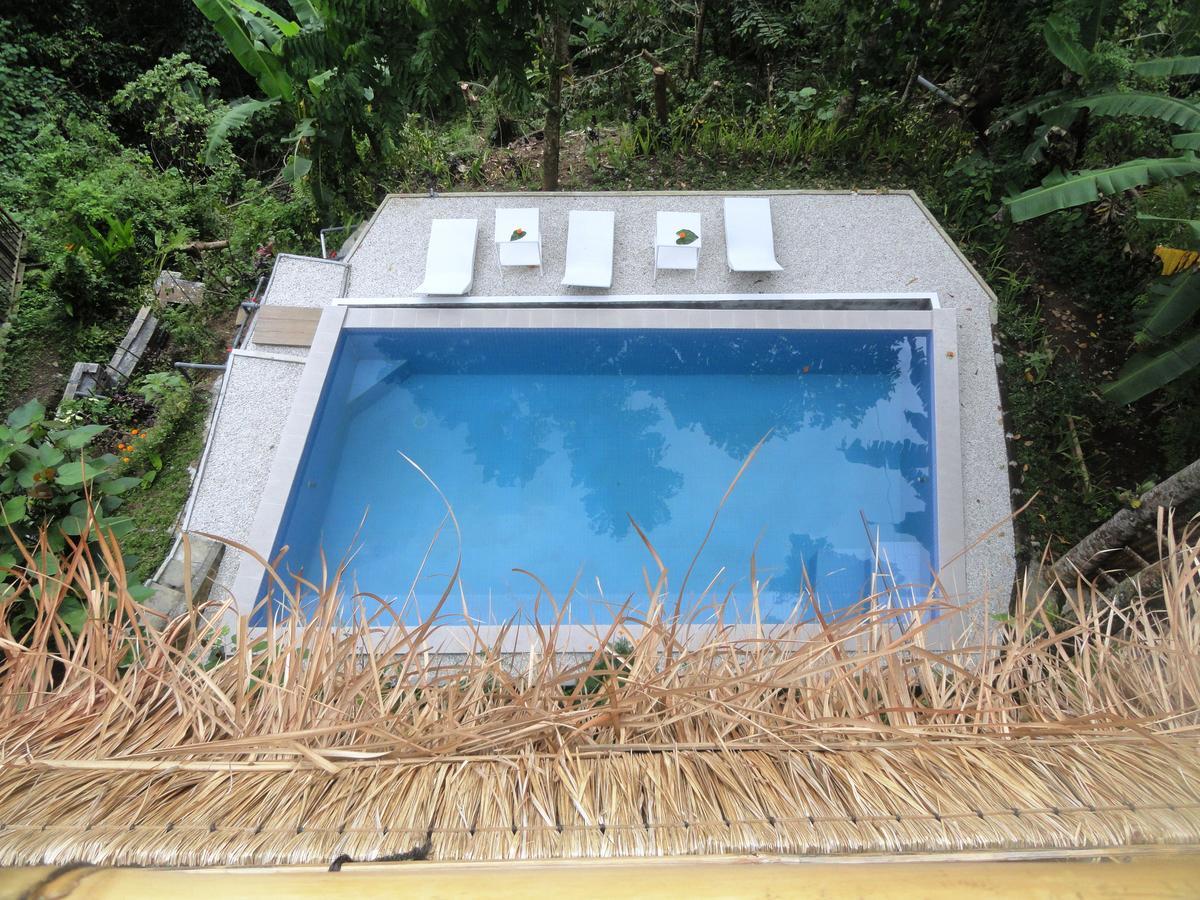 Putu Yoga Bungalow Ubud  Bể bơi bức ảnh
