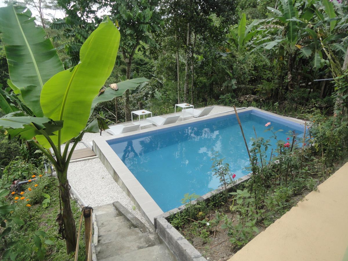 Putu Yoga Bungalow Ubud  Ngoại thất bức ảnh